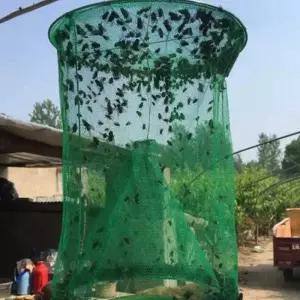 벌레 잡는 유인망 트랩 파리 유인망 통발 포획기 말 날파리트랩