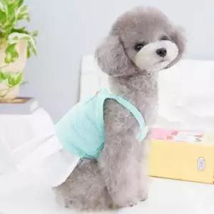 해피 민소매 테니스 스커트 강아지 옷 원피스 반려견옷 강아지패딩