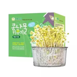 콩나물 키우기 재배세트 3000