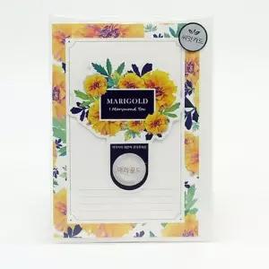 꽃씨앗 씨드스틱 마리몬드 플라워 씨앗카드 메리골드