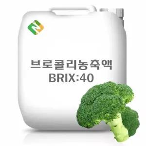 브로콜리농축액 20kg 과일농축액 과일추출액 야채농축액 야채추출액 과채농축액