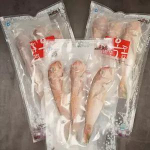 제주산 프리미엄 통옥돔 9마리 명절선물 추석선물 설선물 옥돔선물 옥돔세트