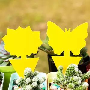 초파리 진드기 트랩 끈끈이