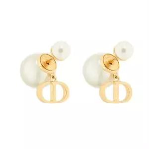 MUST IT_디올 Dior Tribales 귀걸이 E3366WOMRS_D301