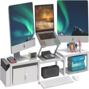 LANDVOI 헤비 듀티 듀얼 모니터 스탠드 최대 27인치 화면 2개 길이 및 각도 조절 가능한 라이저 사이드