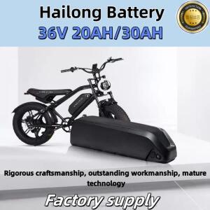 Hailong 자전거 36V 30AH 배터리 팩 폴리에스테르 DP-9 모터 750W1000W BMS 내장 전원 100% 원본