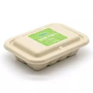 반려식물 화분재배키트 건강새싹채소 키우기