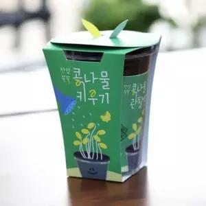 새싹키트 시루 관찰일지 재배 한컵쑥쑥 콩나물키우기