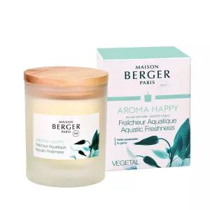 메종베르제 아로마 컬렉션 캔들 해피
