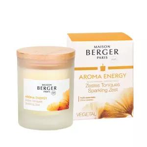 메종베르제 아로마 컬렉션 캔들 에너지