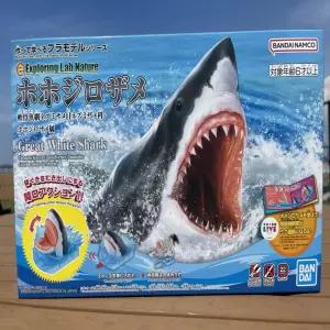등골 오싹 리얼 백상아리 상어 샤크 액션 피규어