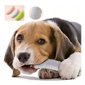 [반려] 강아지 노즈워크 이갈이 삑삑이 인형 3개입 라텍스 장난감 세트