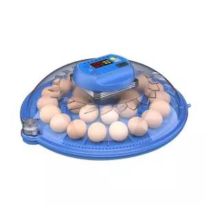 스마트 계란 부화기 메추리 온도조절 조류 전자동 병아리