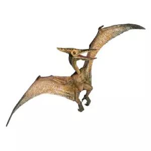 프테라노돈 공룡피규어 5살 남자 어린이 공룡놀이 공룡인형 완구