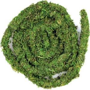 갈라파고스 05266 모스 바인 리얼 12피트 그린