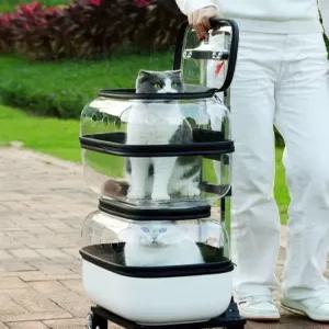 투명 캐리어 고양이 바퀴달린 이동가방 반려묘 외출용 통기성 페트백 휴대용