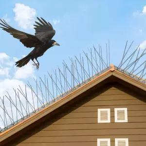 아파트 조류퇴치 버드스파이크 스텐 블럭 비둘기 12set