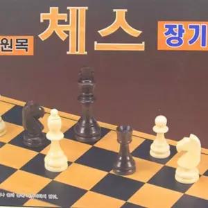 보드놀이 보드게임 체스 두뇌 회전 놀이 장난감 장기