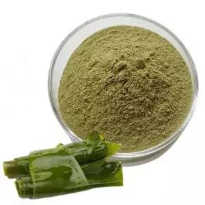 [하프클럽/오티마트]다시마추출분말 1kg