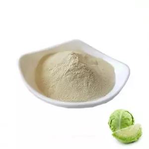 [하프클럽/오티마트]양배추추출분말 1kg