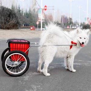 개썰매 바퀴 반려견 애견 트레일러 이륜 펫카트 수레