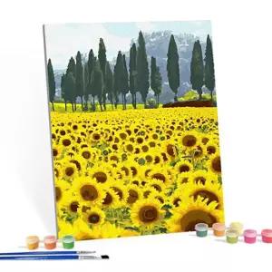 DIY 명화 그림그리기 세트 해바라기 정원 40x50