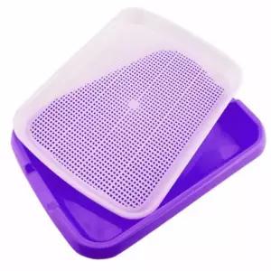 옆집샵 새싹 재배 트레이 수경 재배기 씨앗 키우기 받침대