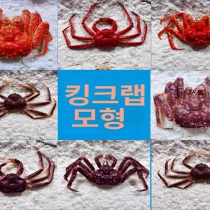 해산물 모형 킹크랩 자금대게 간판 바닷가재 야외