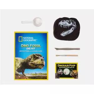 유치원 자연과학 학습교구 티렉스 공룡이빨 발굴 키트 TOY_1805845
