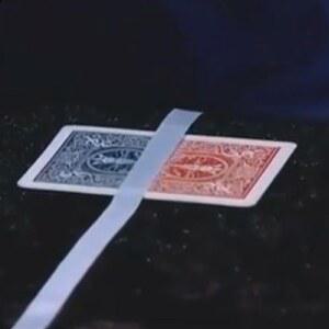 카드 마술도구 에릭치엔 클러즈업 풀세트 트릭 소품 도구 뒷면 색상 재밌는마술 마술카드