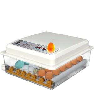 병아리부화기 조류 자동 모이통 병아리모이 회전자동 병아 육장 HHD 컨트롤러