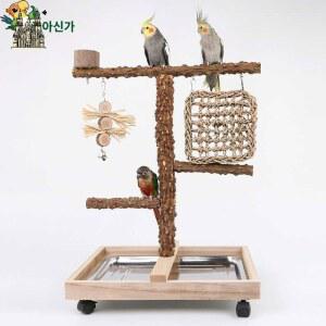 앵무새타워 자바트리 나무 놀이터 횟대