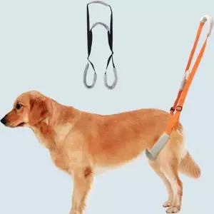 강아지 뒷다리 노령견 보조띠 지지 강아지 보행 행보조 보조기 재활 강아지산책 스트랩 하네스 이동