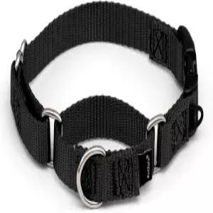 퀵 스냅 버클이 있는 펫세이프 마팅게일 도그 칼라 보행 제어용 당김 없음 부드러운 보정 내구성 나일론