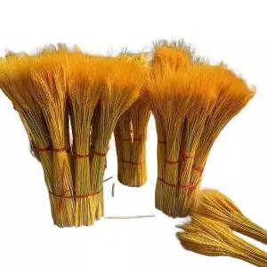 벼 장식 모형 밀이삭100개 장식용 보리 황금 소품 촬영