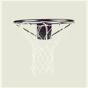 그물 BN102 림 관공서 대골 링네트 스타 골대 농구링망 학교 A형