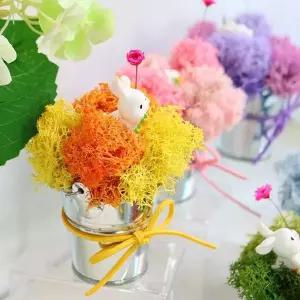 양철모스화분 토끼 오브제 DIY 패키지 (5개 묶음) 도자기화분