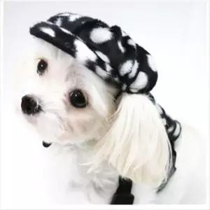 [반려] 달마시안모자 블랙