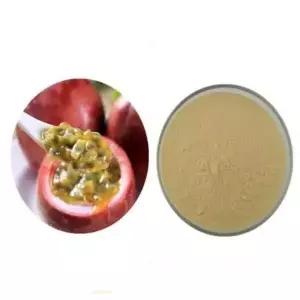 패션프루츠주스분말 100g