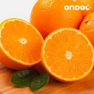 [롯데백화점]이고르 티후카 클로그 샌들 5COLORS 키즈샌들 아동샌들 유아샌들 IGSDTJN2 by트래드후스