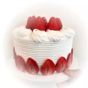 모형 학교 케익 가짜 케이크