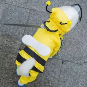 [반려] 강아지옷 꿀벌 귀여운 우비