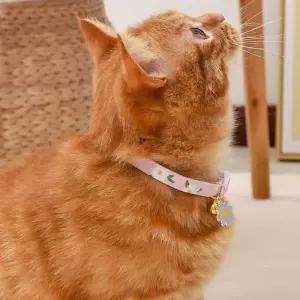 애묘 소형견 버클형식 인식표 방울목걸이 목줄