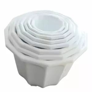 12각 화분 1390x305 산세베리아 까페식물인테리어 축하 개업 선물 카페 실내 사무실 회사 개업식 호텔 집들