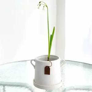 화분 양손잡이 16x15 책상 까페축하화분 개업 선물 인테리어 카페 실내 사무실 회사 선반 개업식 호텔 테이