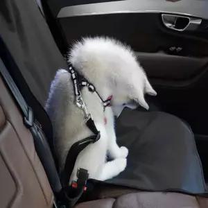 방수 애견 시트 커버 반려동물카 펫강아지시트 자동차 차량 동물카 강아지 량용 용방석 개카 용카 강아지카