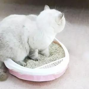 세트 화장실 봉투 고양이 3롤 배변 통똥 모래봉지 키우기 리필