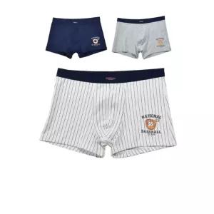 남학생이 입기 좋은 주니어 드로즈 (A-31) X 3매입속옷 남자아이 중속옷 고등 남성팬티 청소년 남아