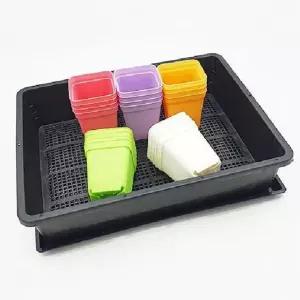 미니 화분 20개 트레이받침세트다육이 선인장 플라스틱 소형 원형 텃밭 분갈이 정원 모종 조화