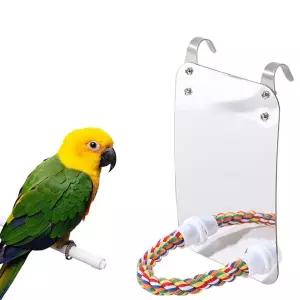 반려조횟대 앵무새 거울횃대 장난감 놀이 새새장용품 조류소품 새용품 발톱갈이 훈련용 놀이터 새터 난감